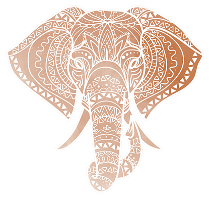 Indian elephant art